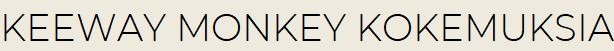 Keeway monkey kokemuksia